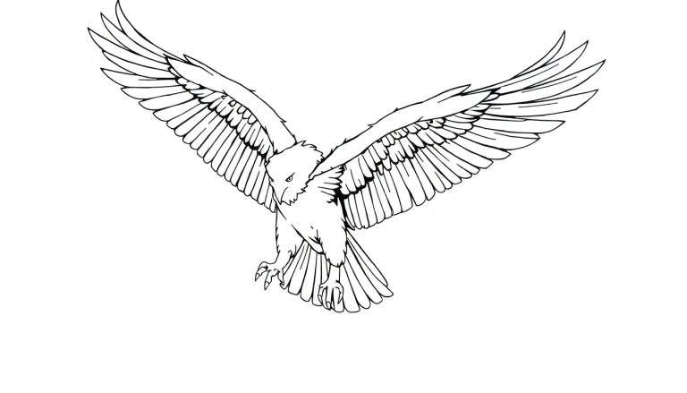 Desenho de uma águia em voo, com asas abertas e olhar atento.