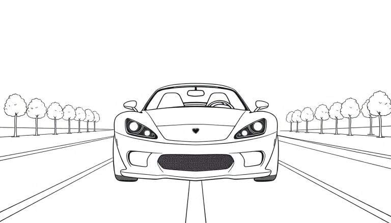 Carro esportivo preto e branco em uma estrada com árvores. O painel de cores exibe um carro pronto para acelerar.