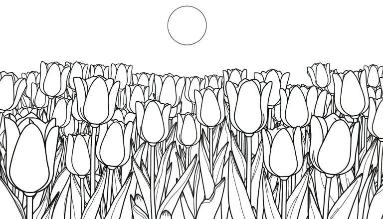 Um campo de tulipas em preto e branco com um círculo sol no alto, pronto para colorir.