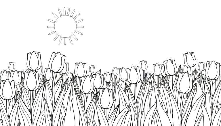 Desenho linear em preto e branco de um campo de tulipas sob um sol radiante, com color panel pronto para ser pintado.