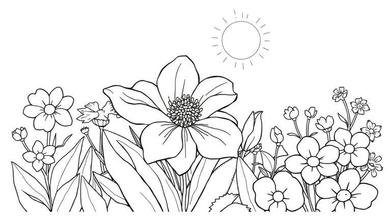 Um campo de flores em preto e branco sob o sol, com um color panel sugerido.