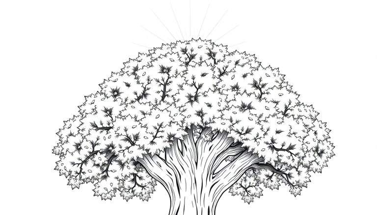 Uma ilustração em preto e branco de uma árvore grande e frondosa com raios de sol filtrando por suas folhas, em um estilo linear detalhado.