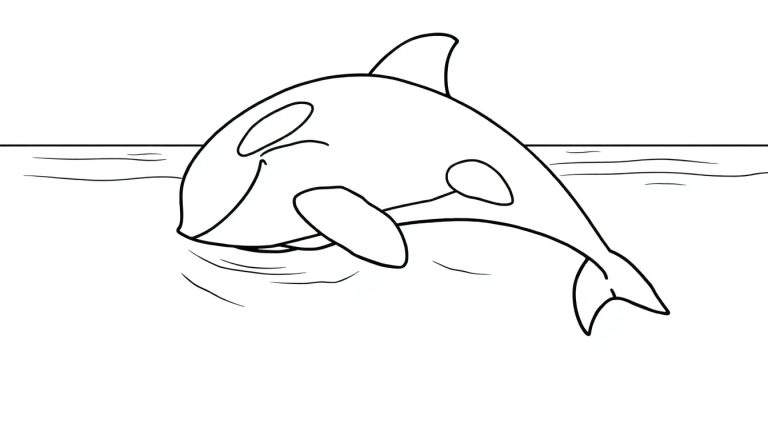 Desenho de contorno de uma orca saltando para fora da água, com áreas para colorir.