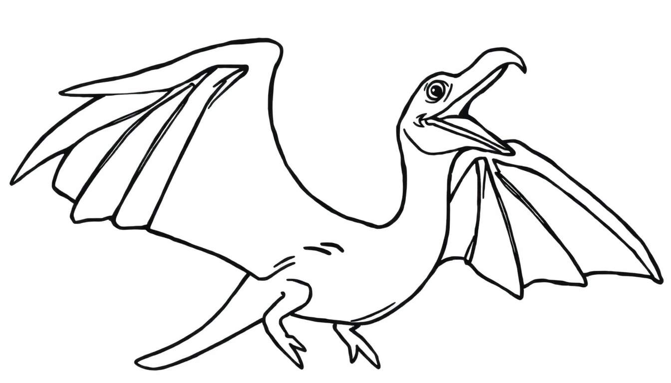 Página para colorir de um pterodáctilo com asas abertas em voo.